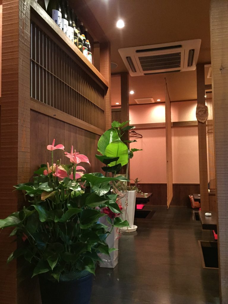 sirakibaruwacyou (3)